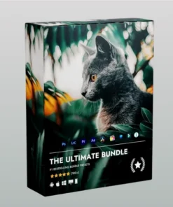 The Ultimate Presets Bundle